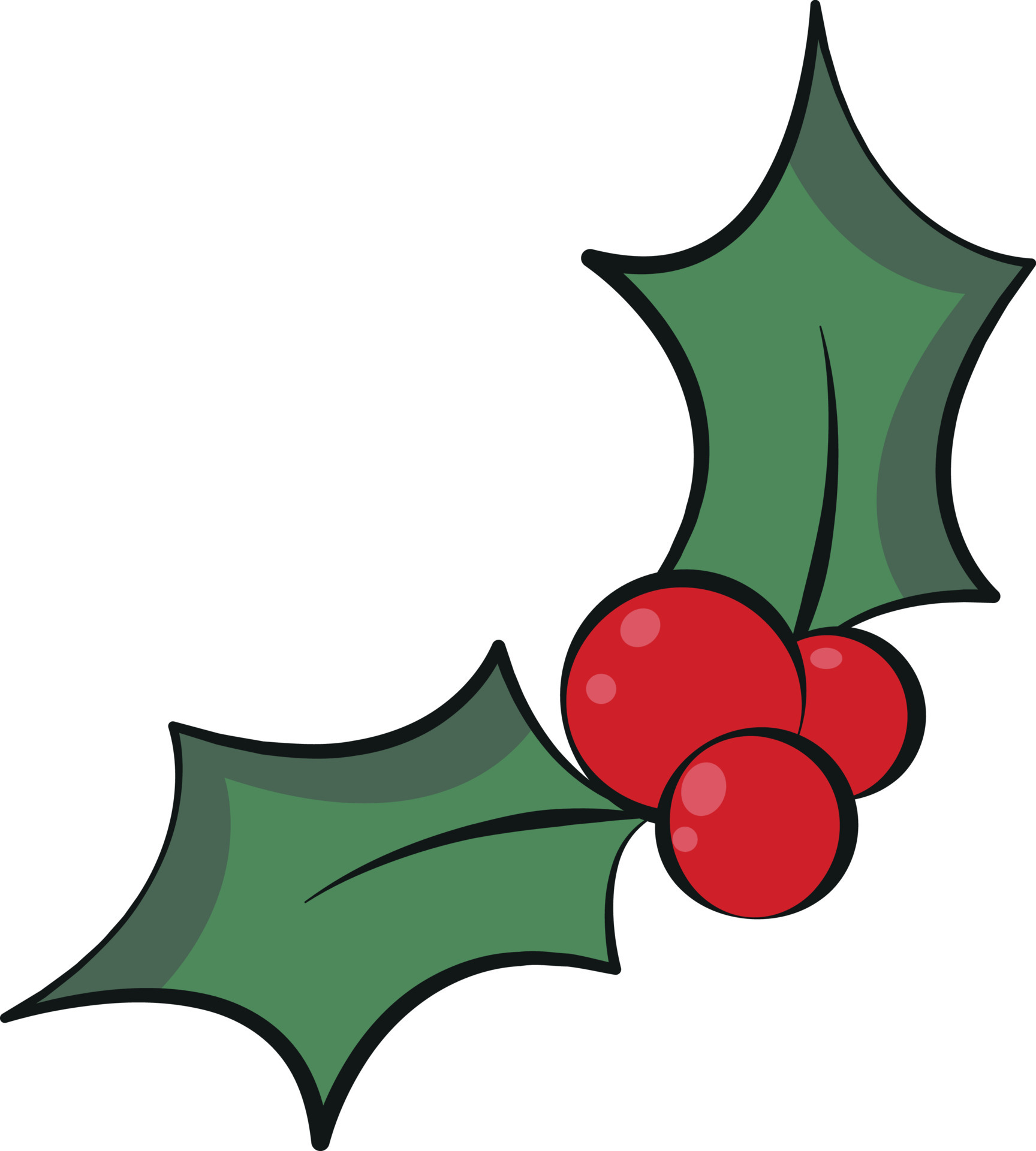 Holly Leaves and Berries Isolated Drawing Symbol of New Year Decoration