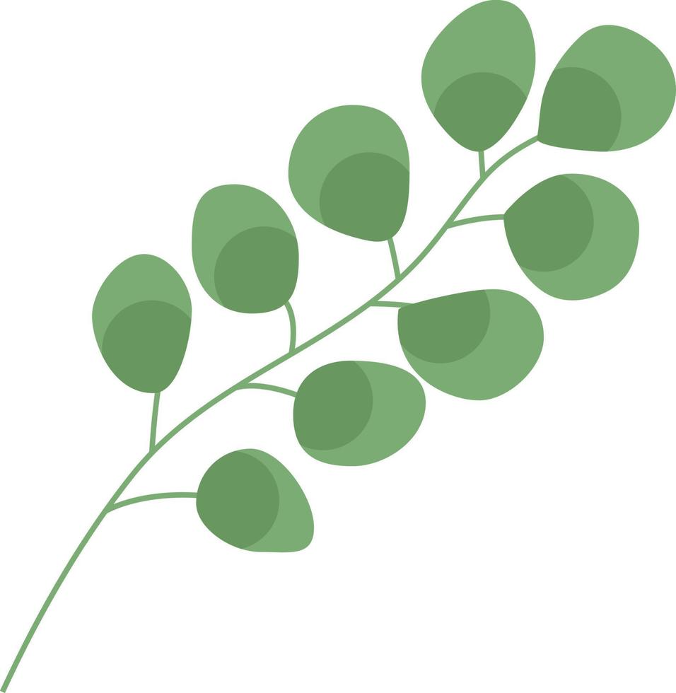 Eucalyptus Branch Decorative Element for Decor vector