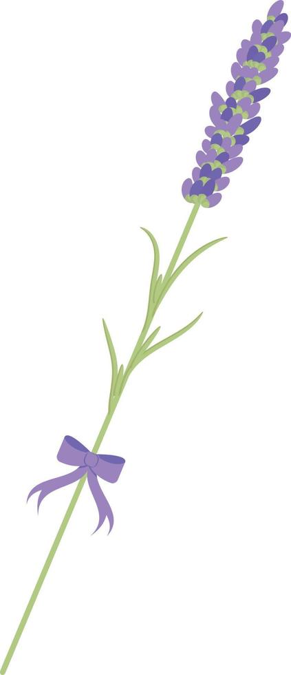 Lavender Branch for Postcard Decoration vector