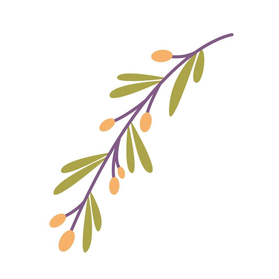 Twig with sea buckthorn berries, vector flat illustration on white background