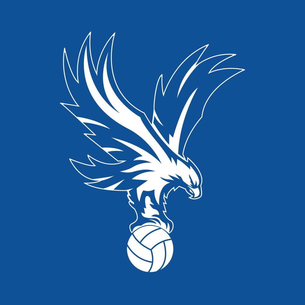 pájaro águila calva, ilustración de silueta animal. vector