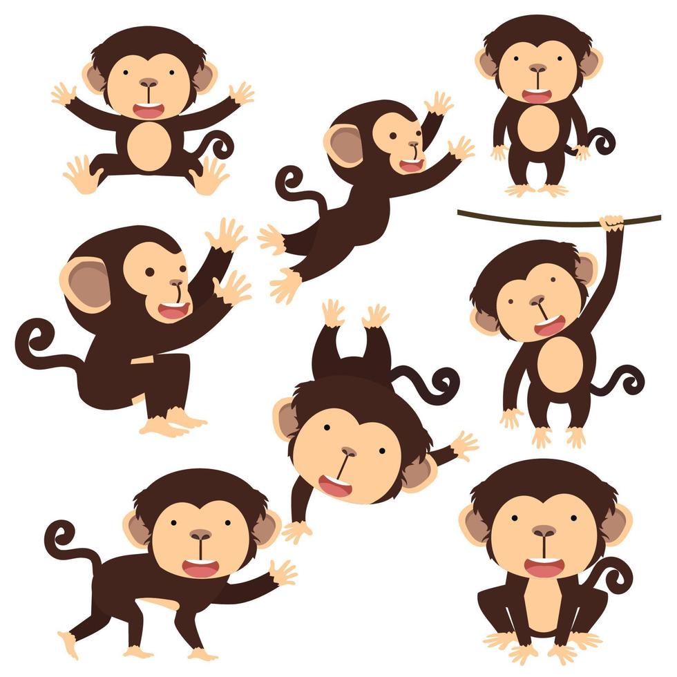 Cute monkey cartoon character set vector