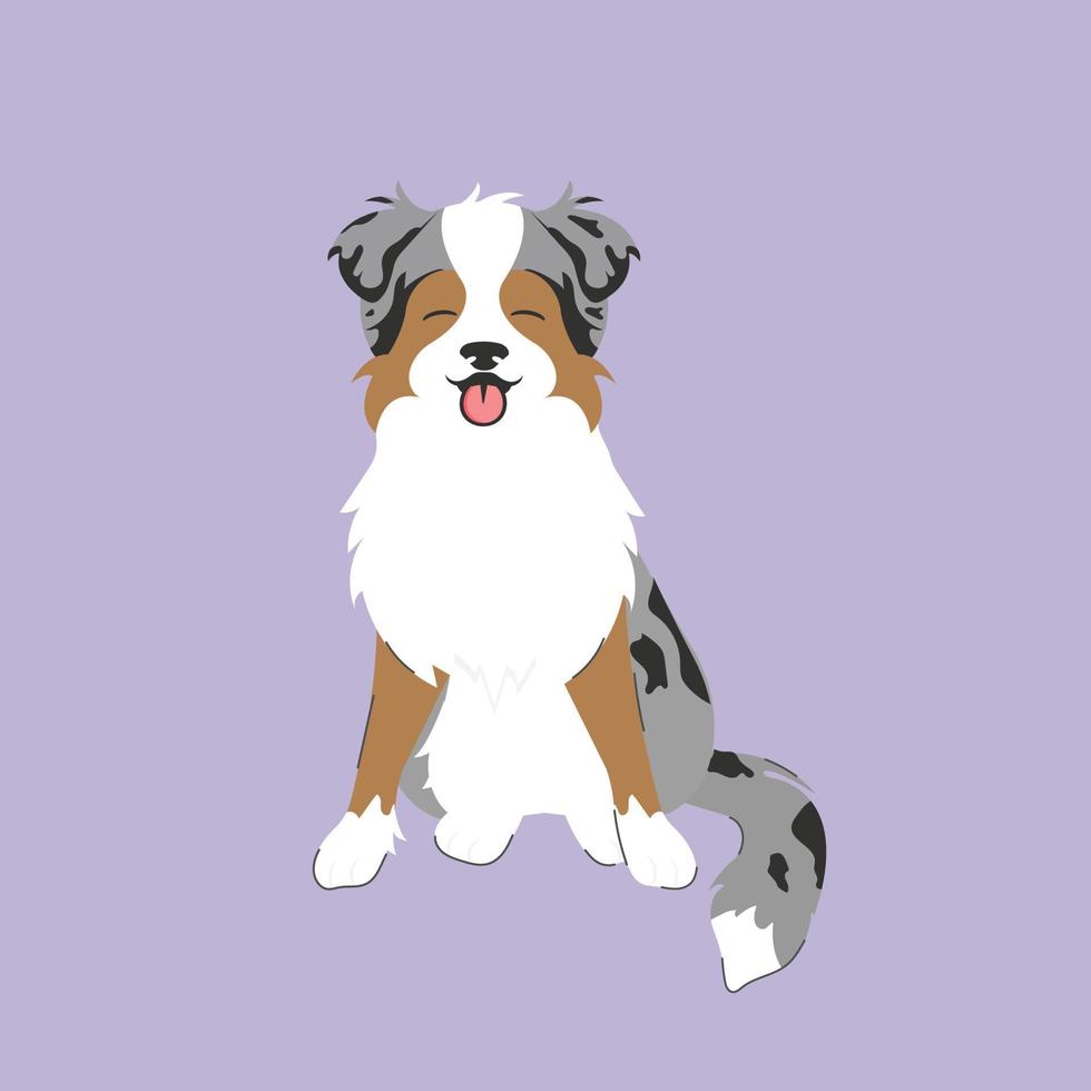 Australian shepherd dog face portrait cartoon illustration.  Cute friendly blue merle tricolor herding dog smiling with tongue out. vector