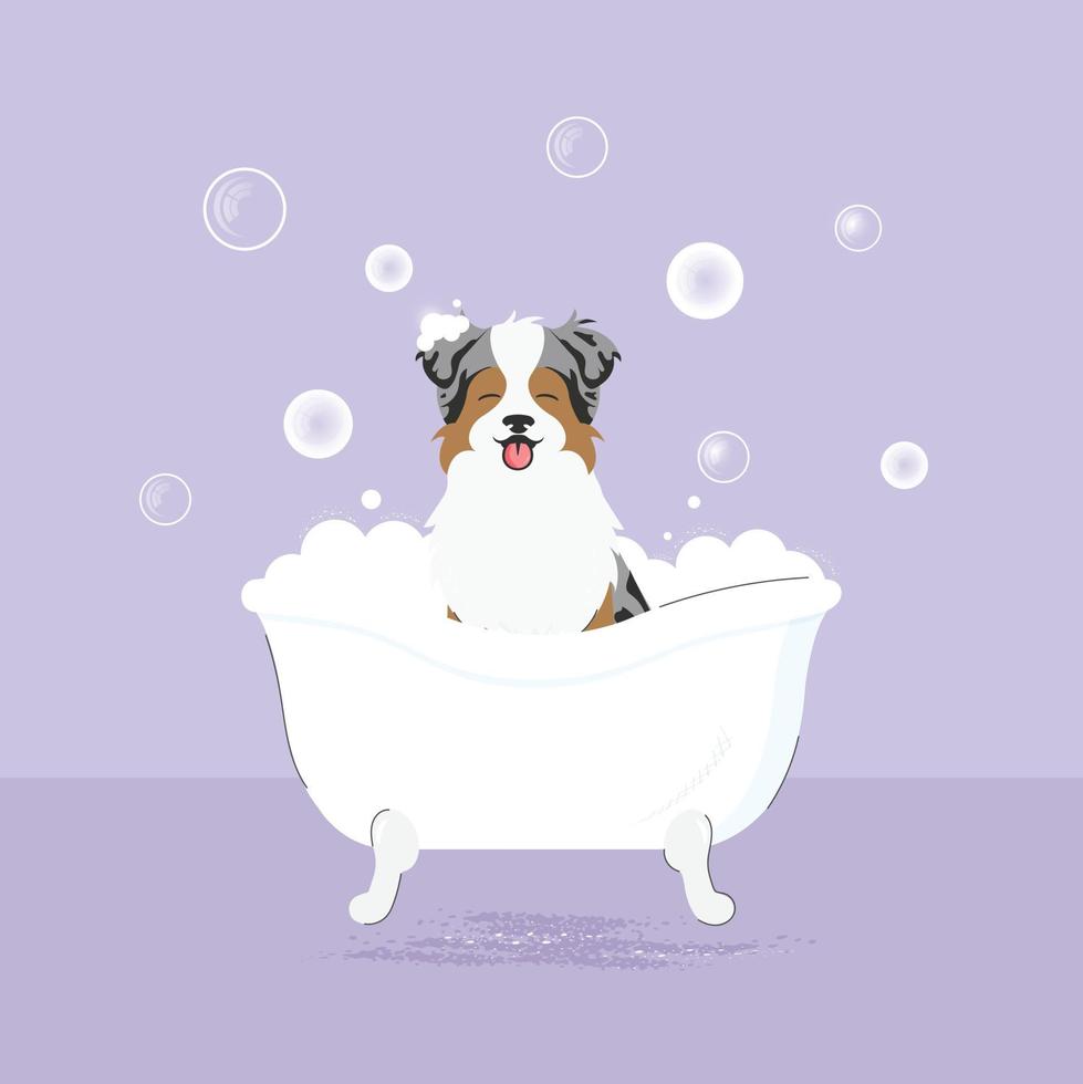 The banner of cute dog with bubbles in kawaii, flat vector style. Illustation of pet grooming for content, label, banner,graphic and greeting card. Aussie. Australian shepherd. Border collie.