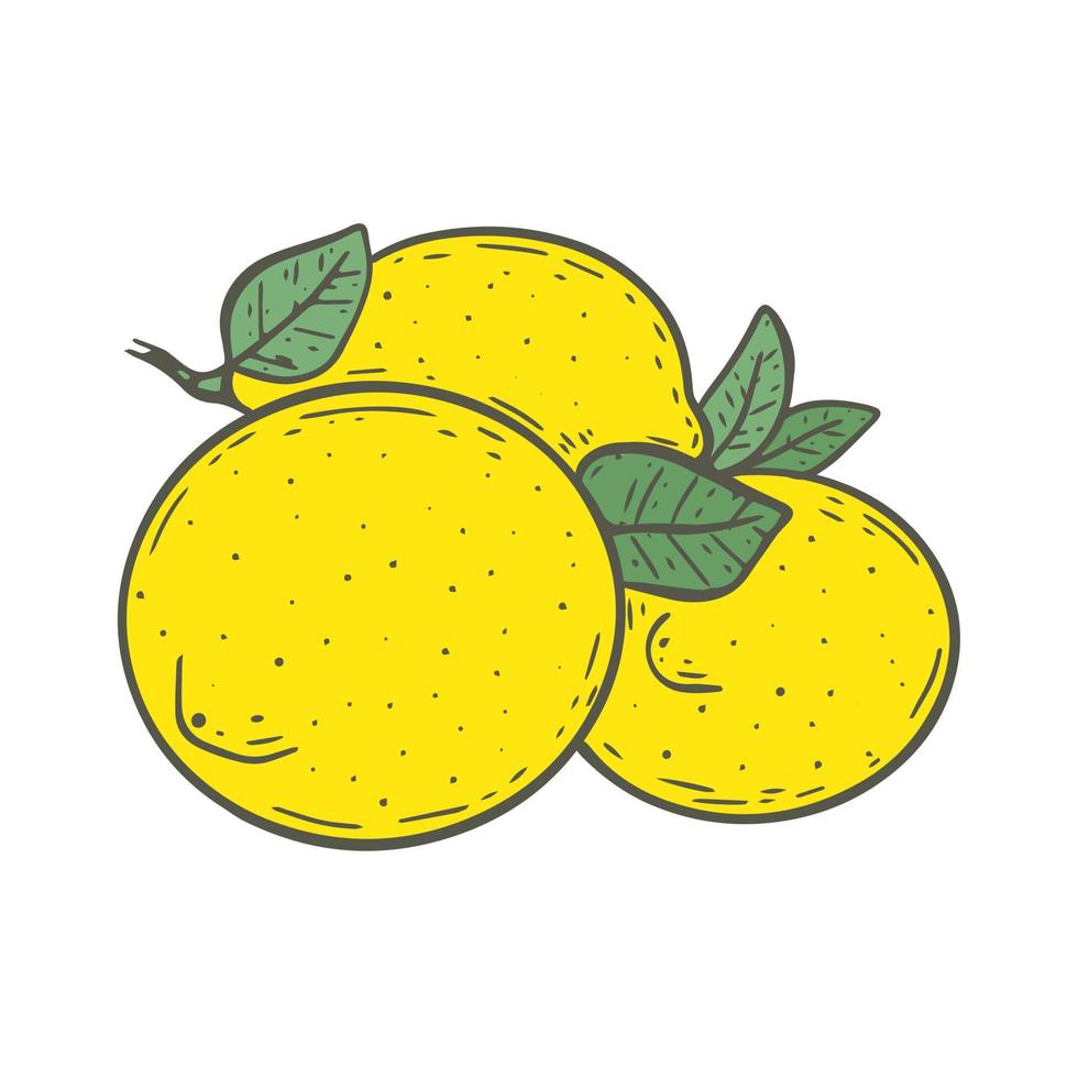 Several lemons with leaves vector illustration