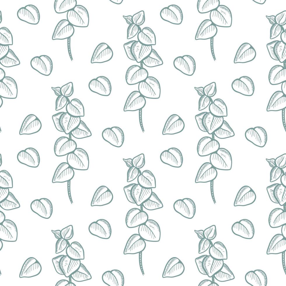 Eucalyptus twigs seamless pattern vector illustration