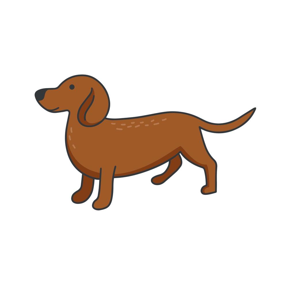 estilo de dibujo aislado dachshund vector