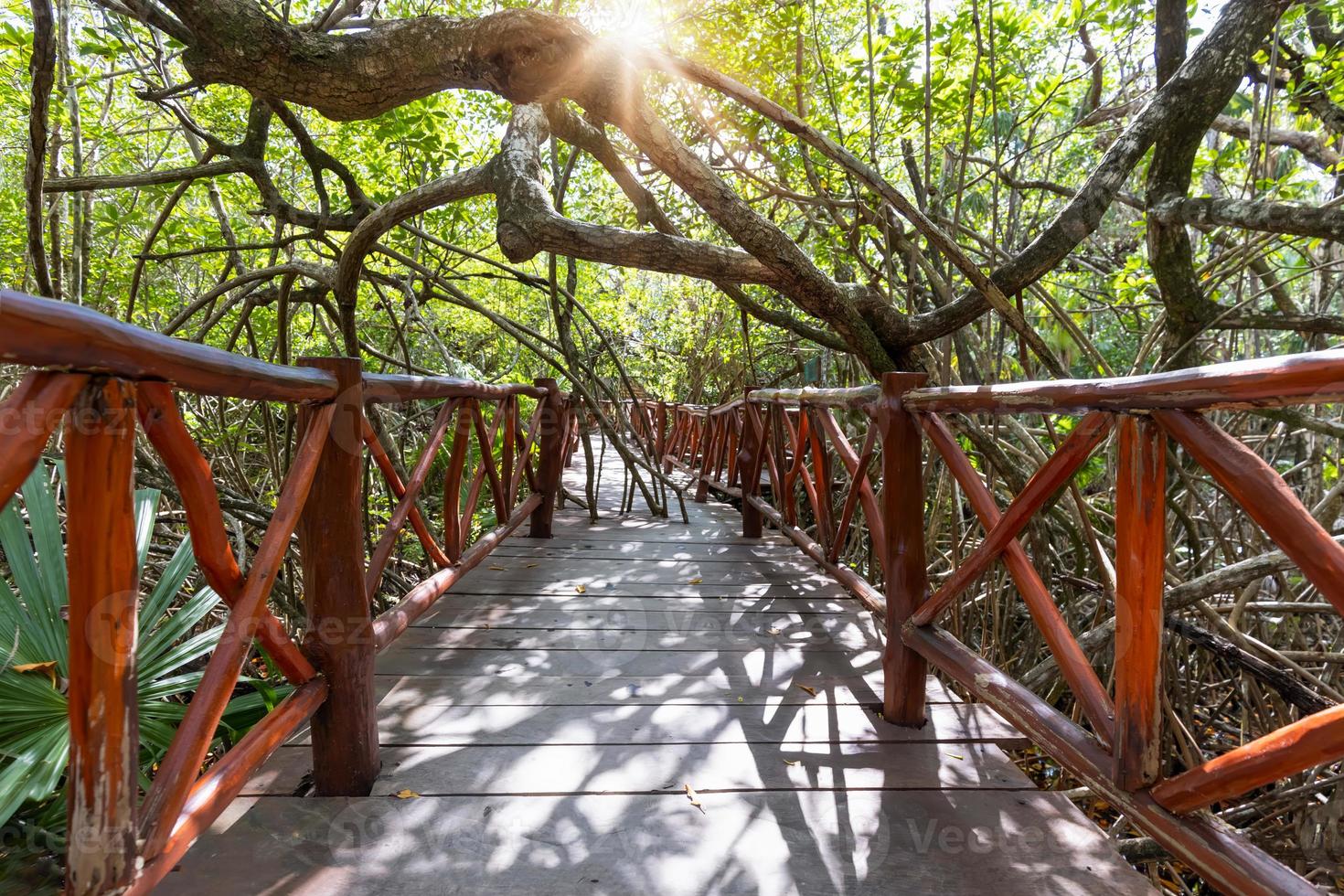 Mexico tourism destination, Cenote Casa Tortuga near Tulum and Playa Del Carmen photo