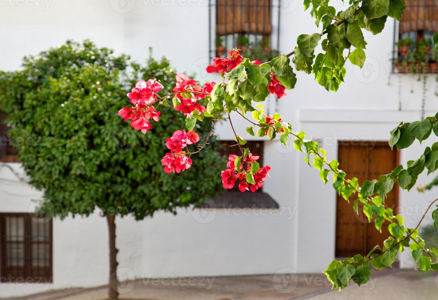 Cordoba streets on a sunny day in historic city center photo