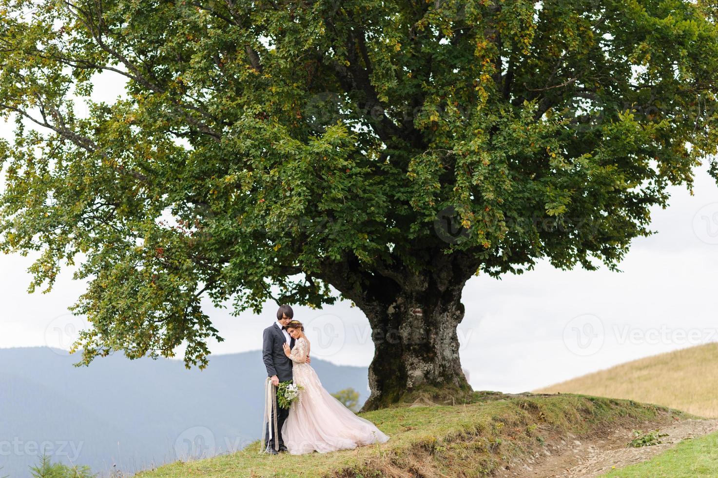 la novia y el novio se abrazan bajo un viejo roble. sesión de fotos de boda en las montañas.