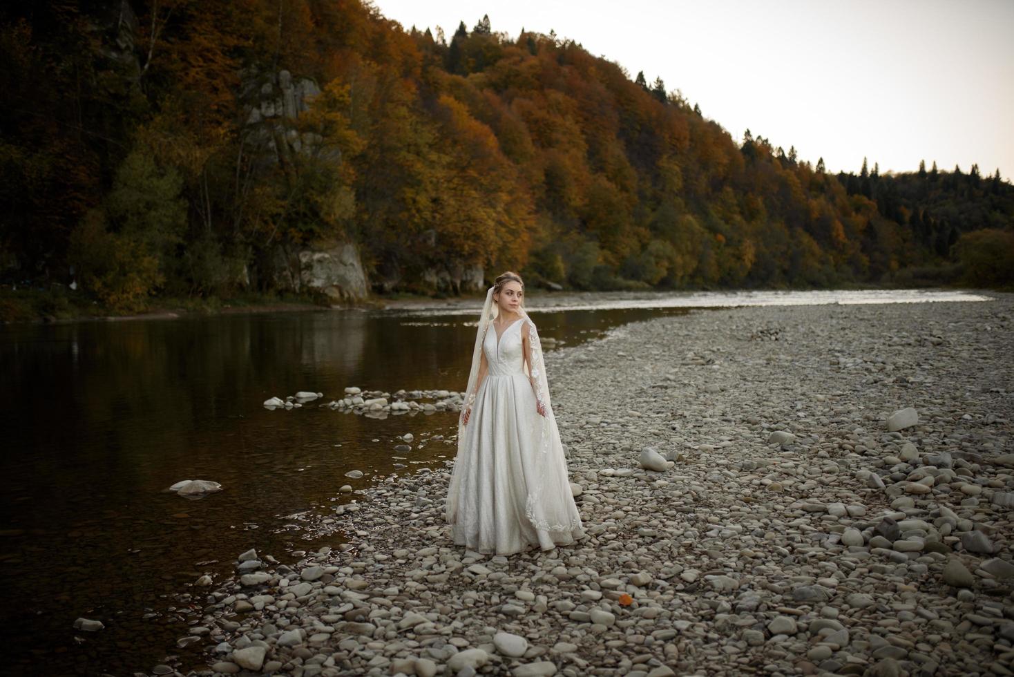 retrato de una joven y bella novia con velo. sesión de fotos de boda en las montañas.