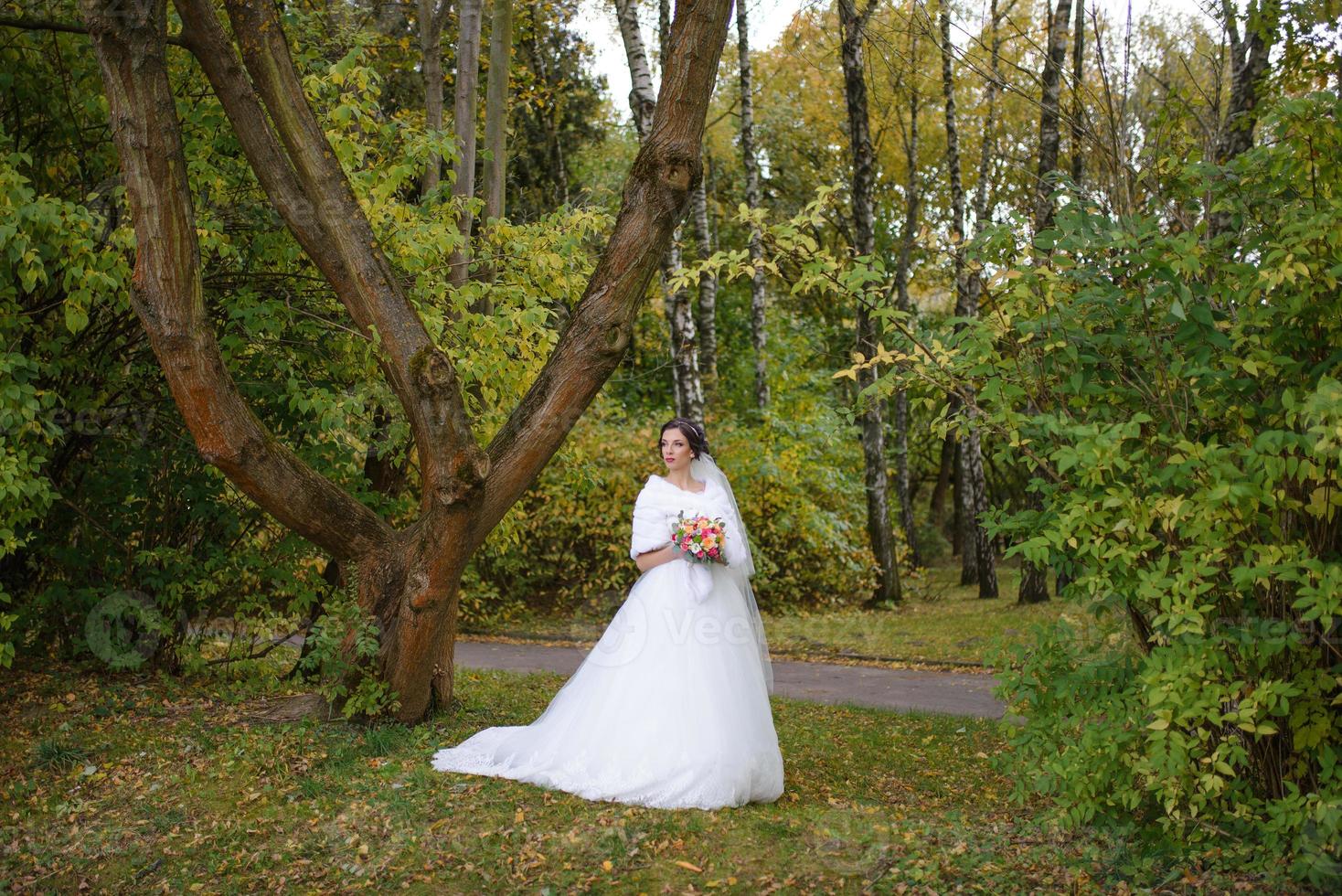 Portrait of a lonely bride on a background of an autumn park. The girl took refuge under a veil with which the wind develops. photo