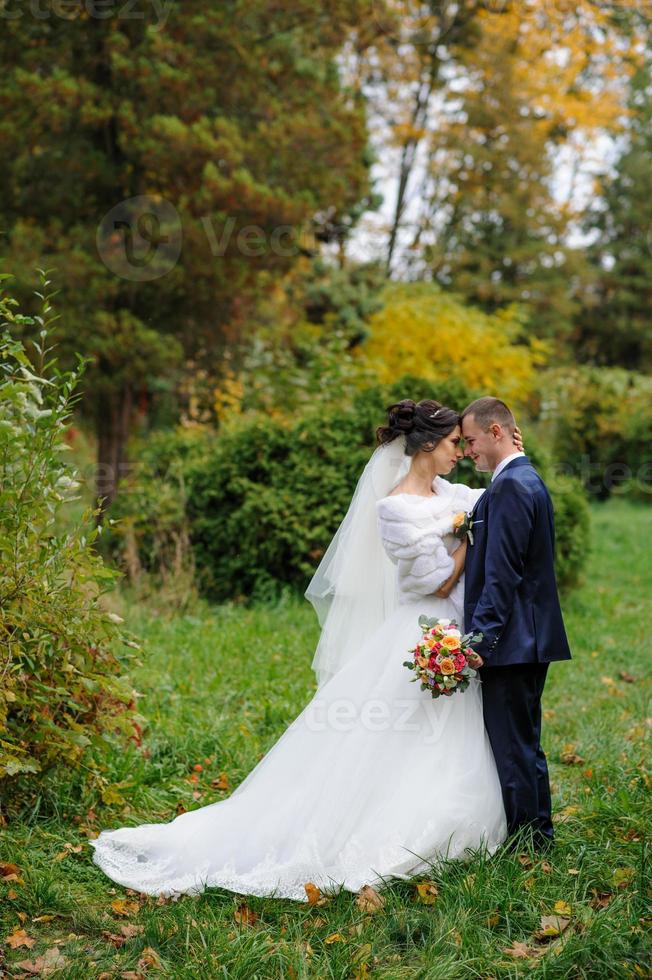 The bride and groom on the background of the autumn park. photo