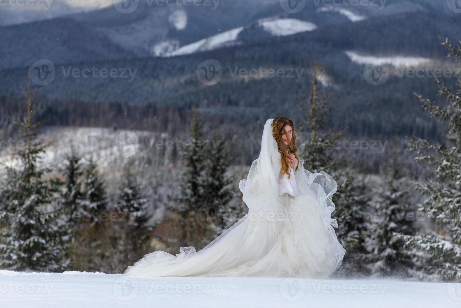 The groom leads his bride by the hand to a lonely old beech. Winter wedding. Place for a logo. photo