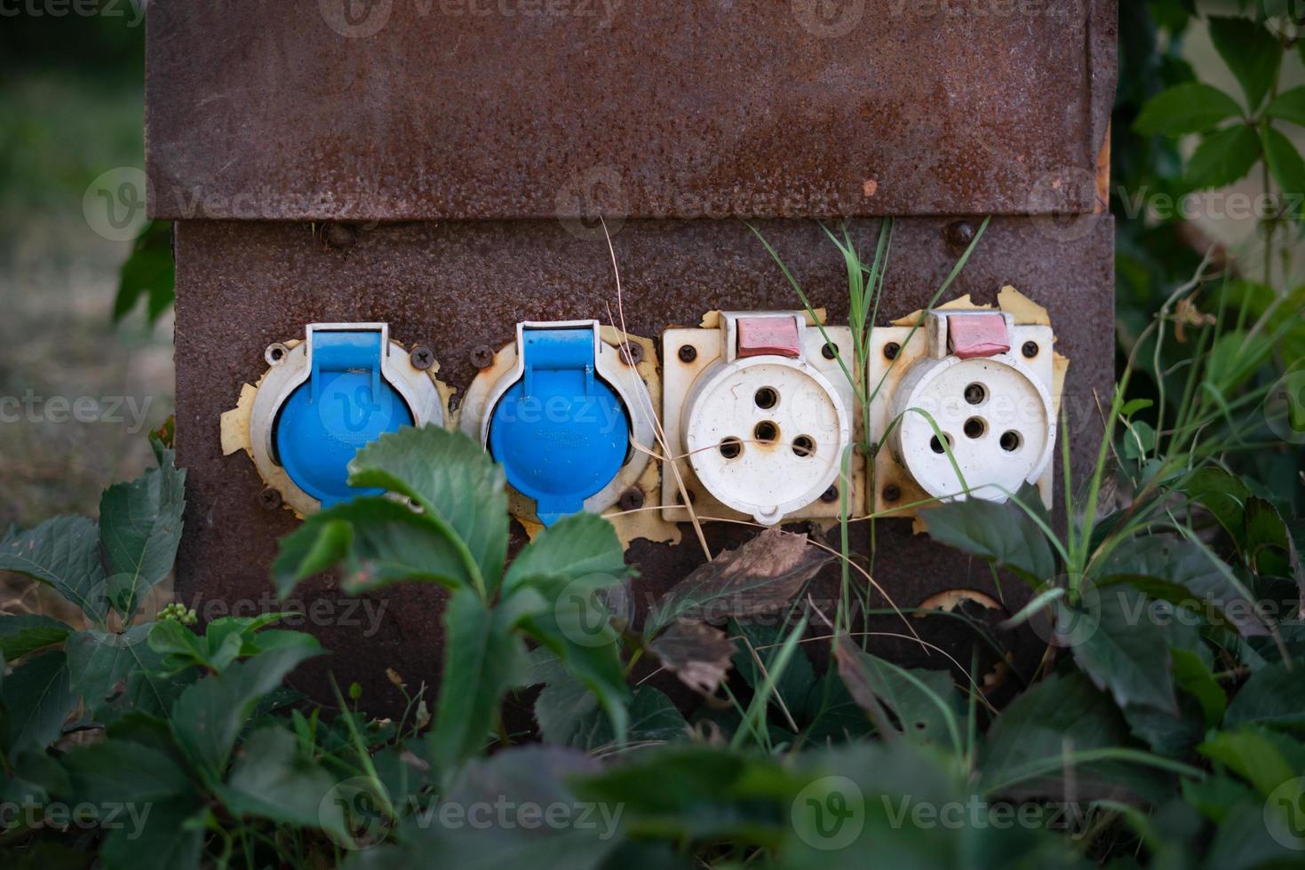 Old rusty electrical box 4 sockets in plants and greenery photo
