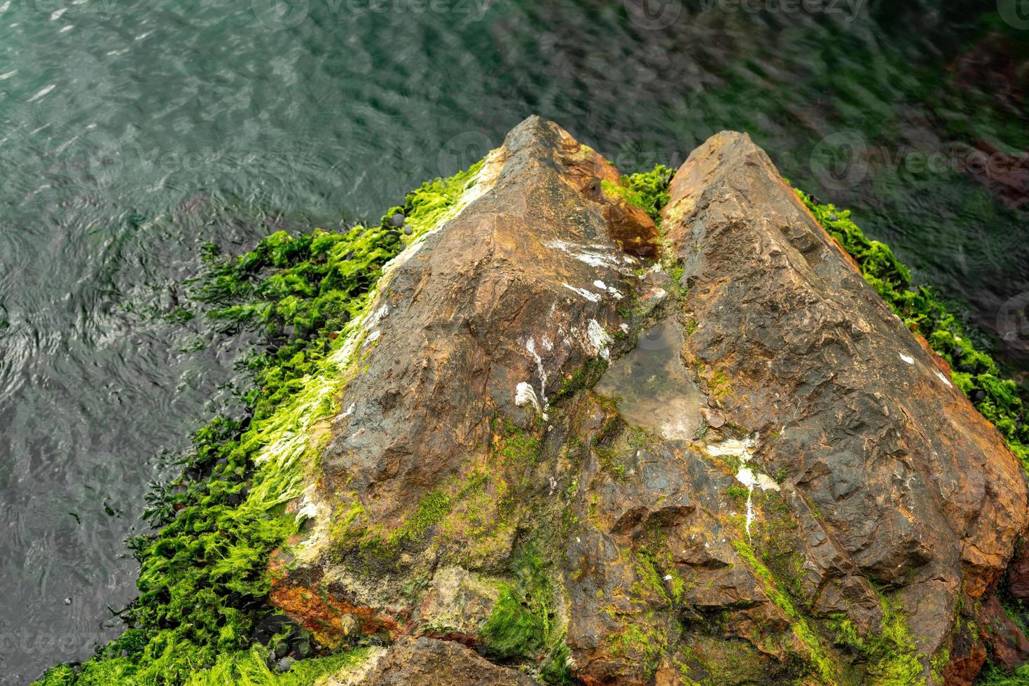 textura de roca cubierta de musgo en el mar con agua verde foto