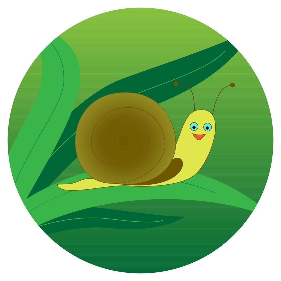 Cute snail on a leaf of grass on a green background isolated white. Vector illustration.