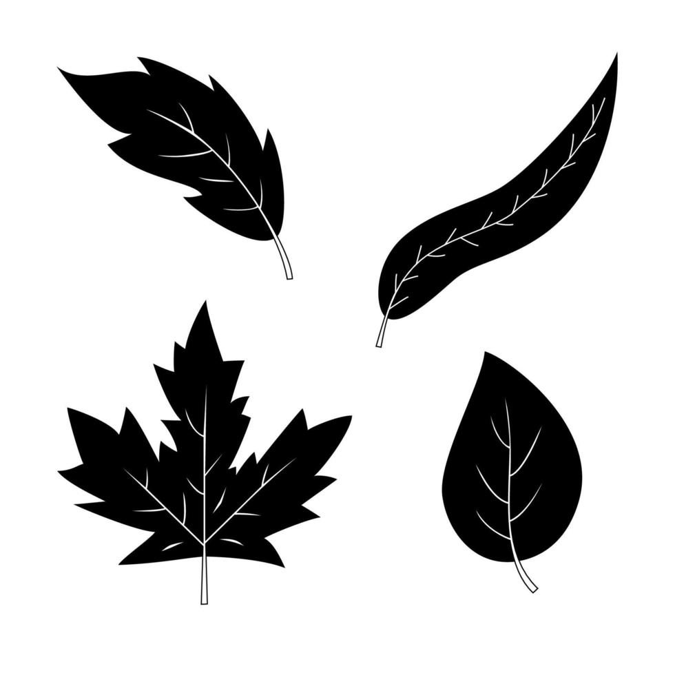 Set of 4 black and white silhouettes leaves. Detailed texture of forest leaves. Vector ink elements isolated on white background.