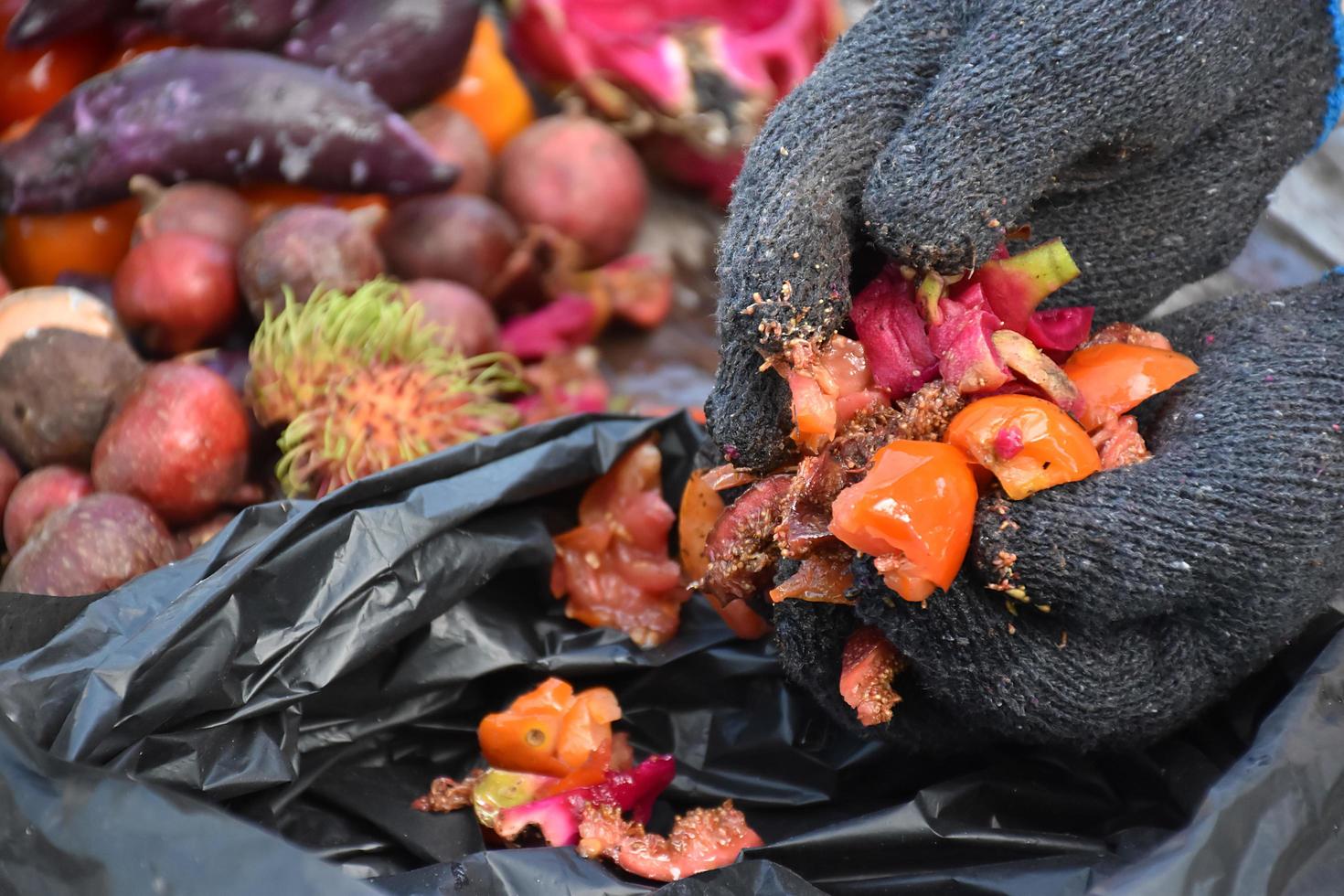 Waste from the kitchen to do the composting at home. photo