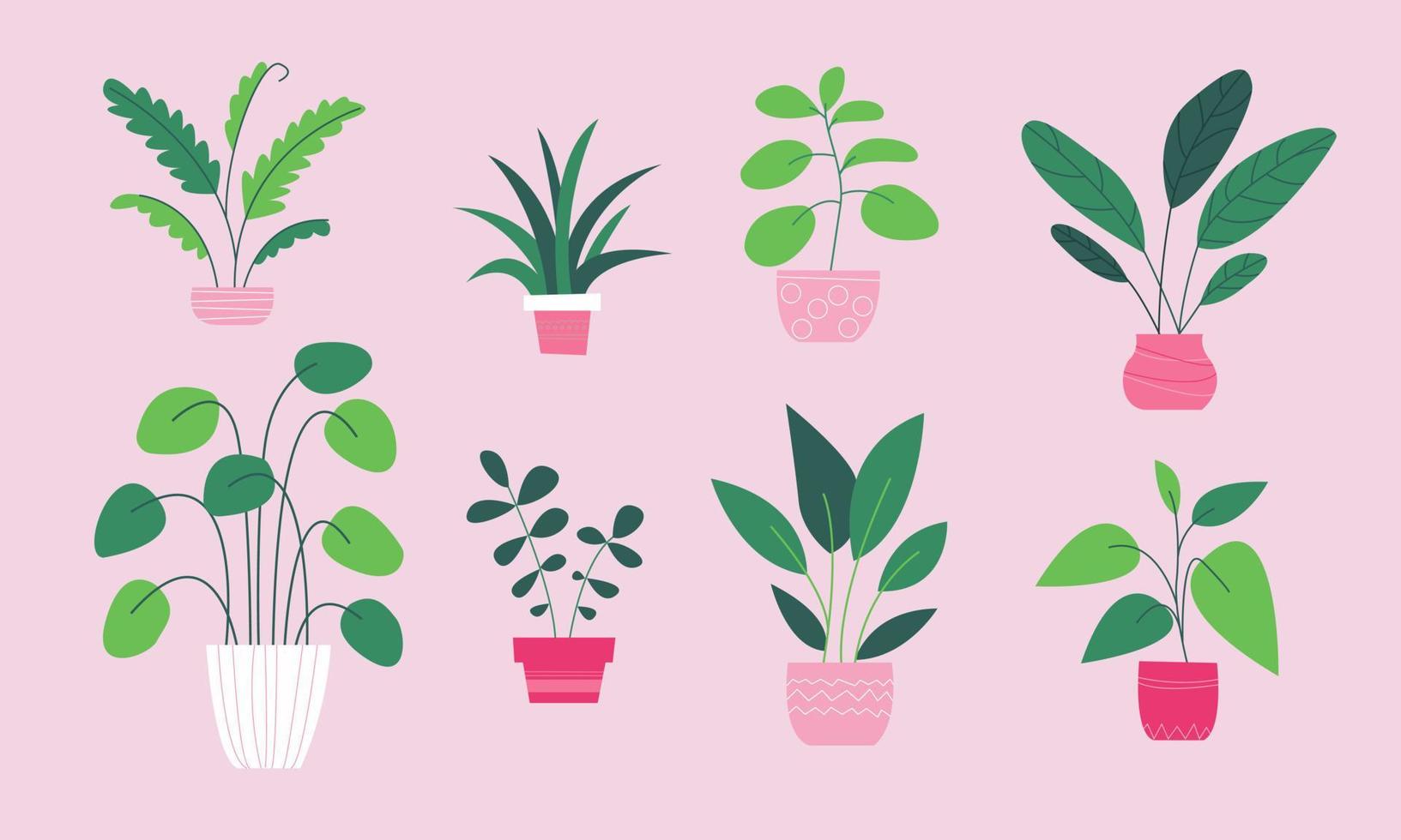 Set of home indoor plants in flat style. Urban jungle cute fashion potted plants home decor. Green natural decor for home and interior. City garden illustration collection in simple style vector