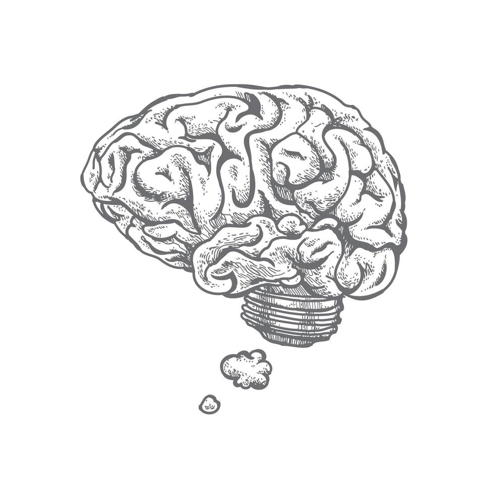 Hand drawn vector illustration of brain and idea. Isolated on white.