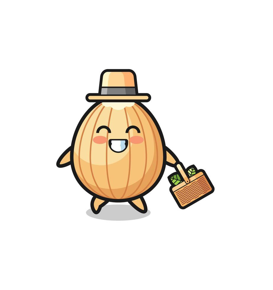 almond herbalist character searching a herbal vector