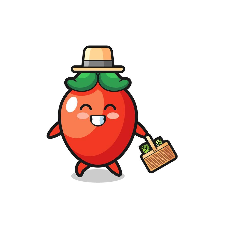 chili pepper herbalist character searching a herbal vector