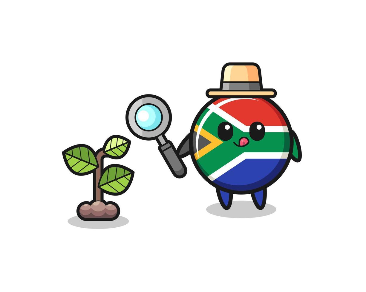 lindo herbolario de bandera de sudáfrica investigando plantas vector