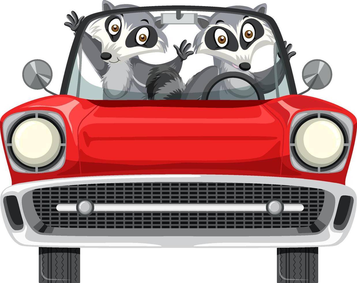 Raccoon in classic red car on white background vector