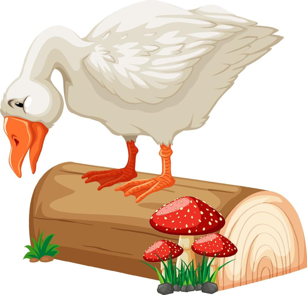 White duck standing on log vector