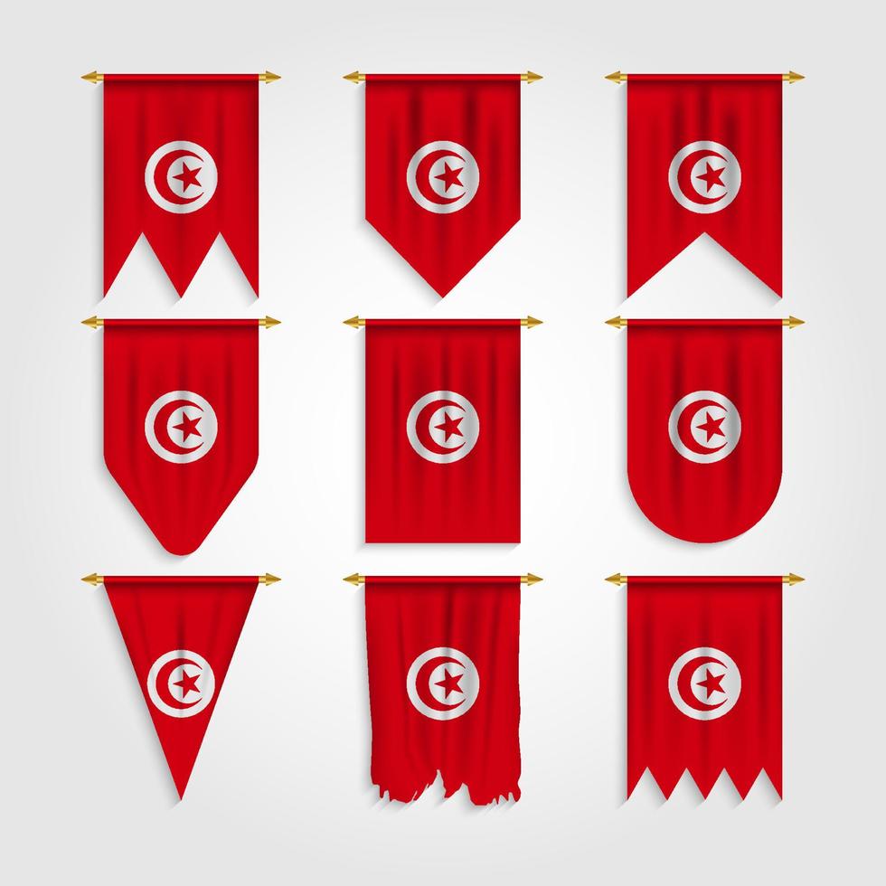 Tunisia flag in different shapes vector