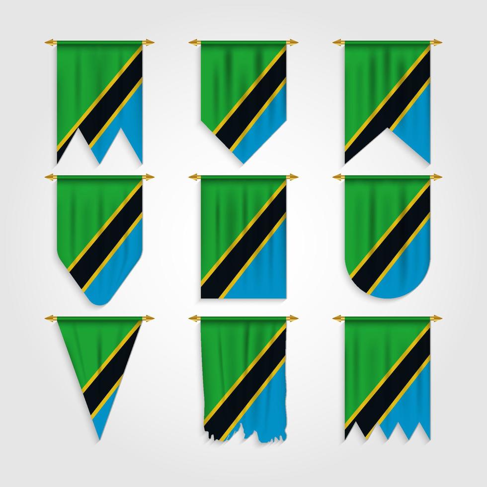 Tanzania flag in different shapes vector