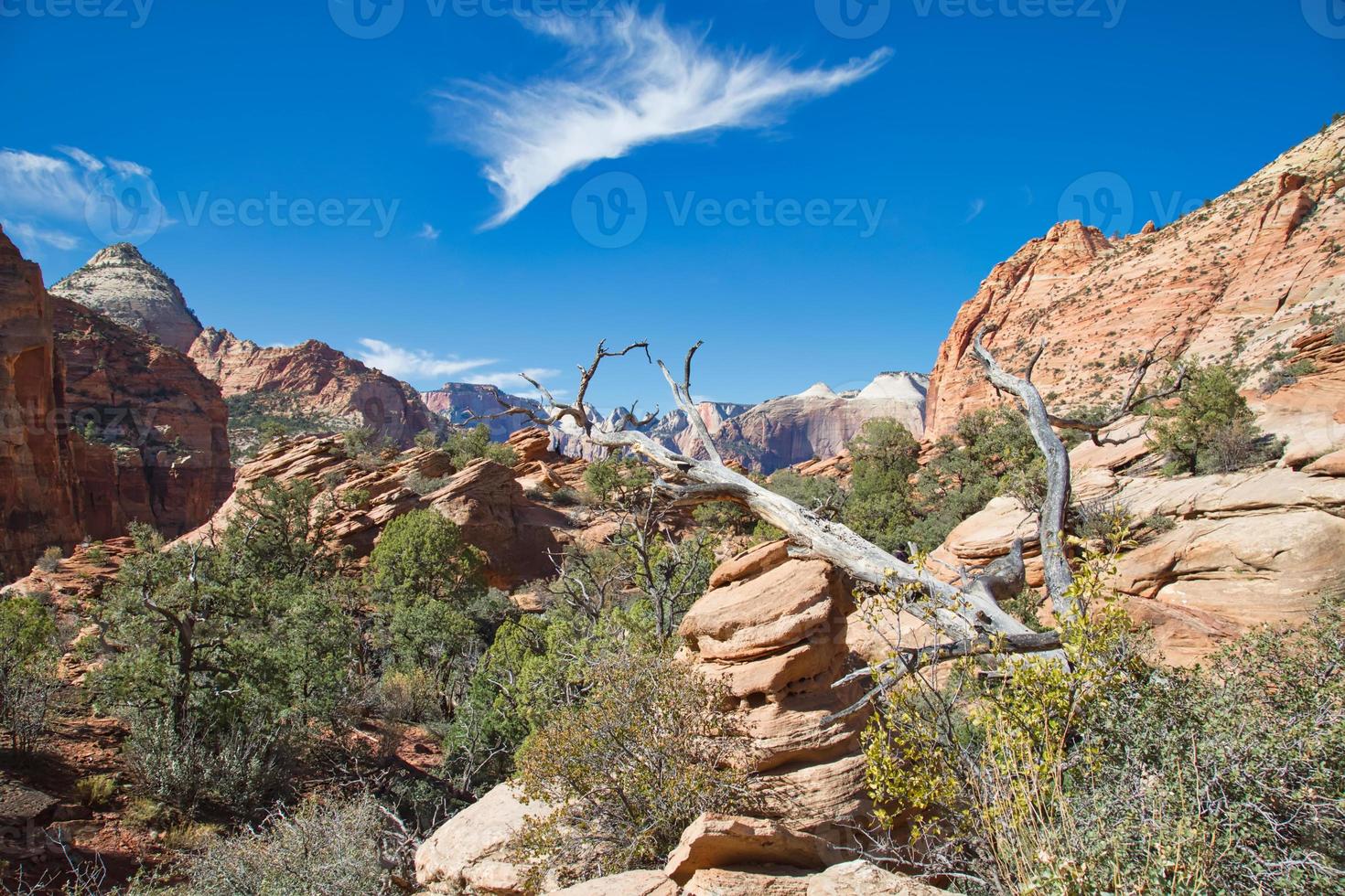 Scenic Zion Park Scenic Landscapes photo