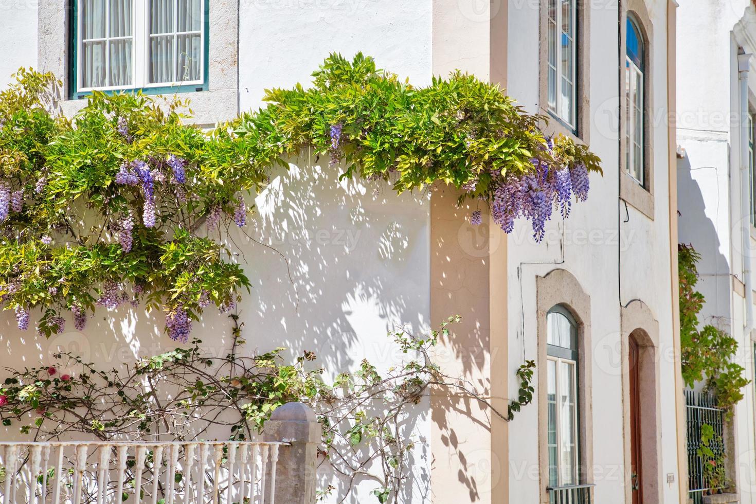 Scenic Cascais streets in historic center photo