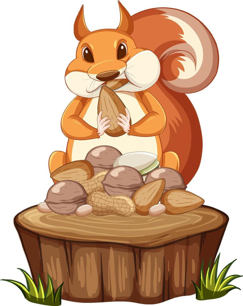 Cute squirrel with the food vector