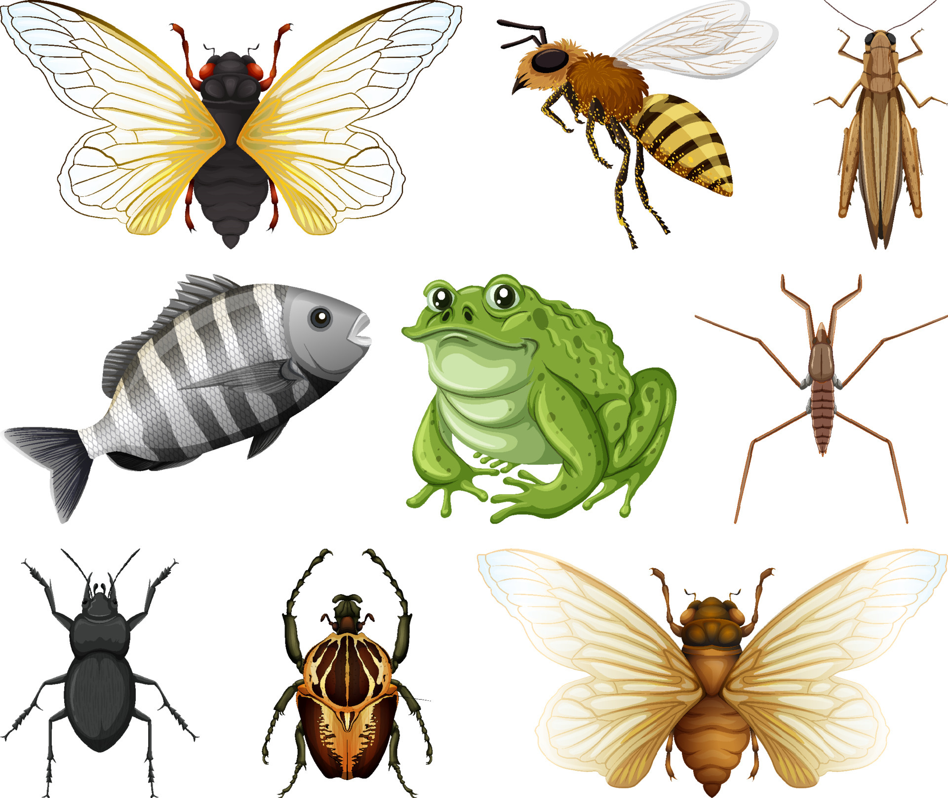 Different kinds of insects and animals on white background 6928131 ...