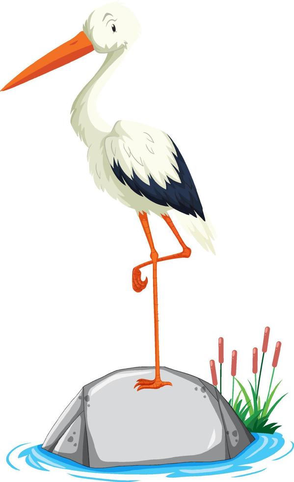 Heron bird standing on stone on white background vector