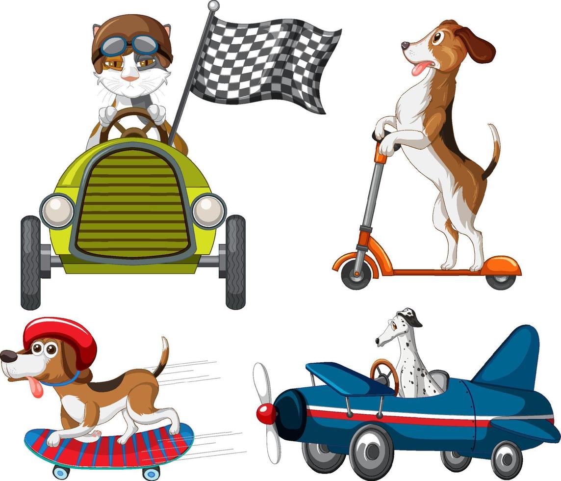 Many animals driving car plane and playing skate vector