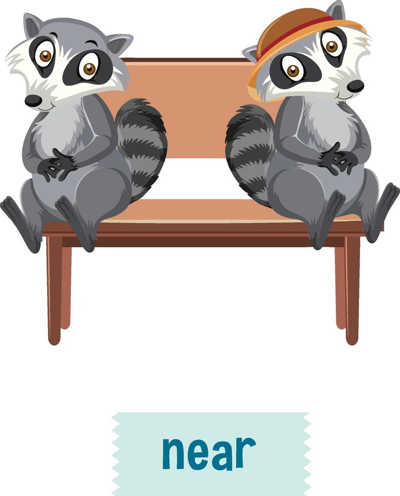 English prepositions, raccoons siting togeter vector