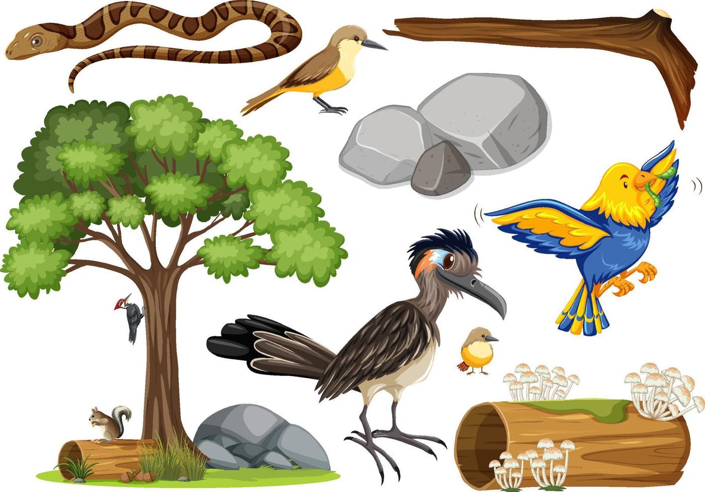 Different kinds of wild animals collection vector