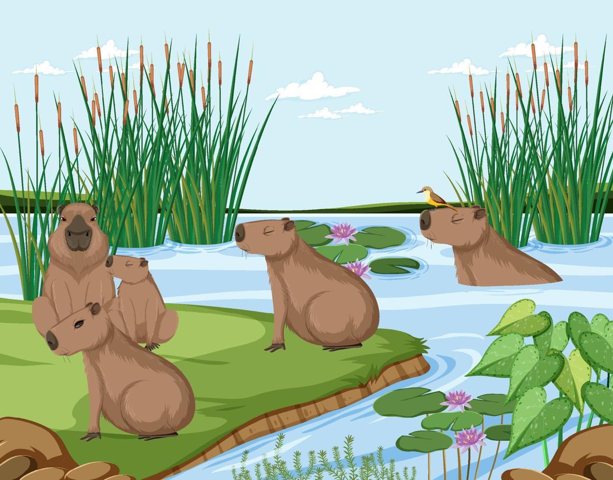 Capybara living in the nature pond vector