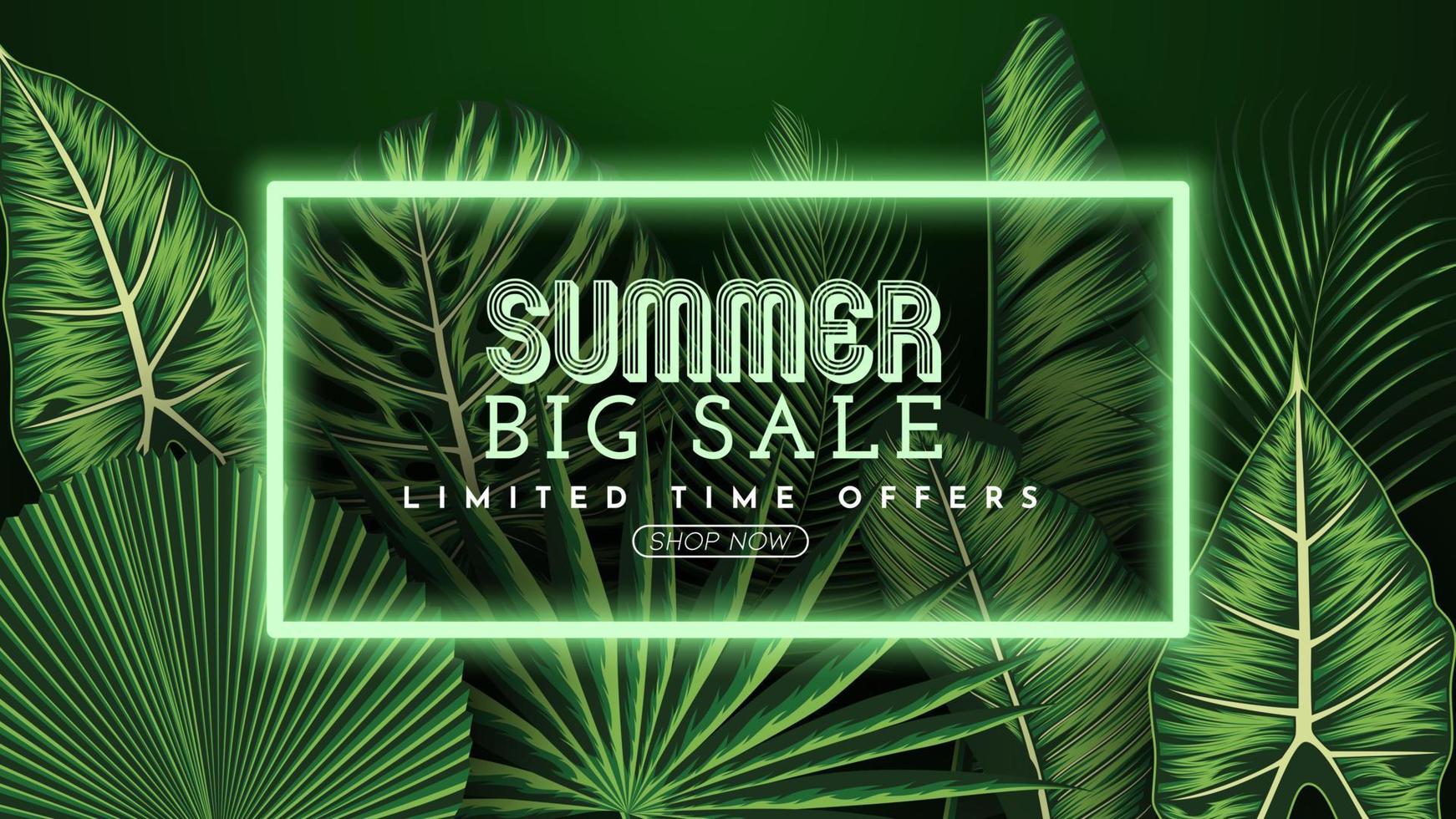 Summer Sale Banner With Tropical Leaves Background. Vector Illustration