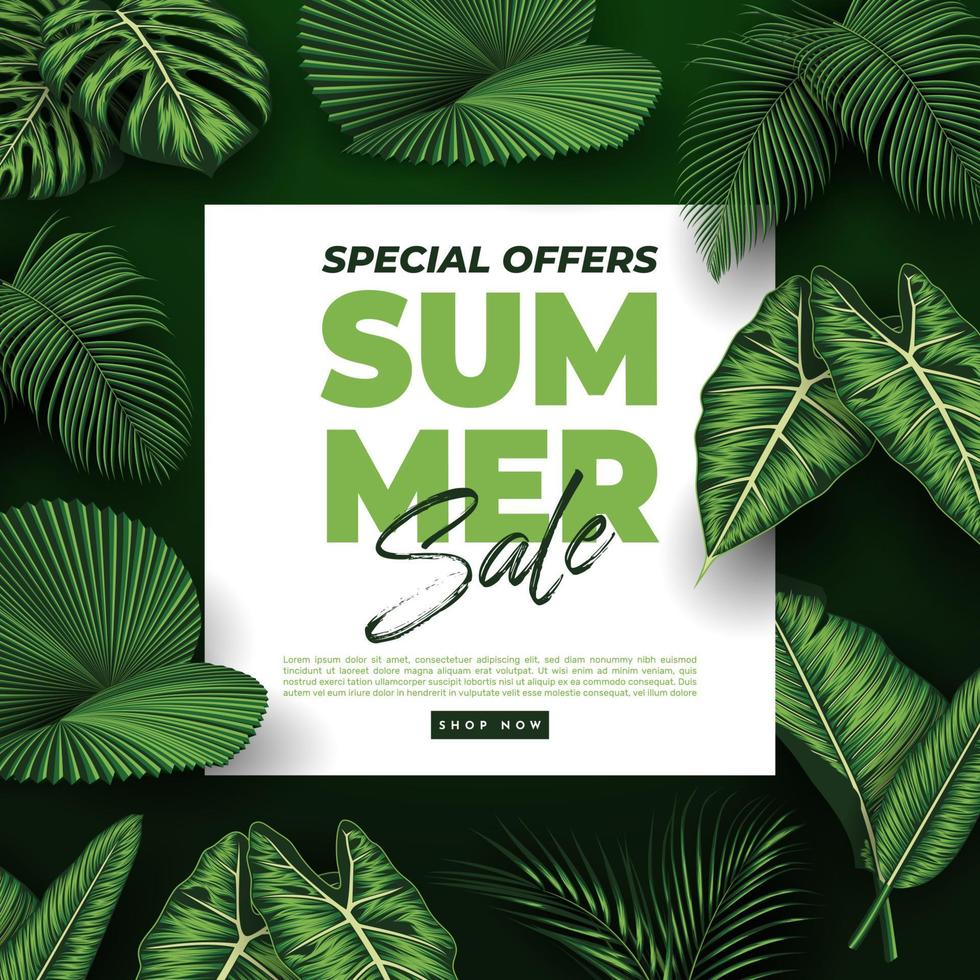 Summer Sale Banner With Tropical Leaves Background. Vector Illustration