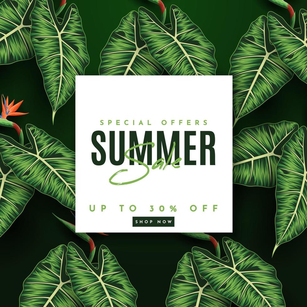 Summer Sale Banner With Tropical Leaves Background. Vector Illustration
