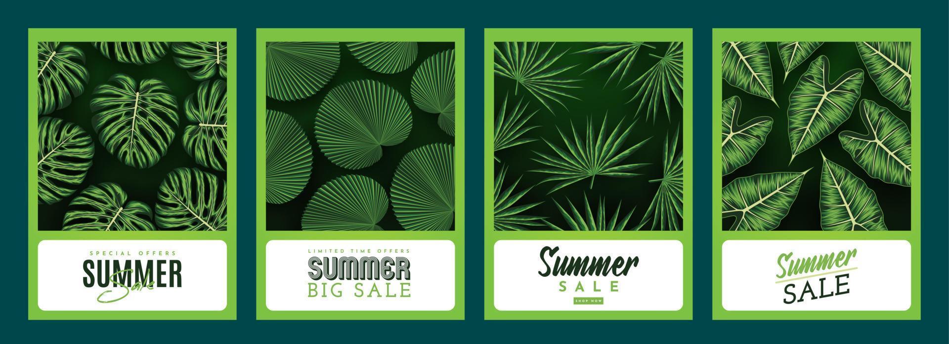 banner de venta de verano con fondo de hojas tropicales. ilustración vectorial vector