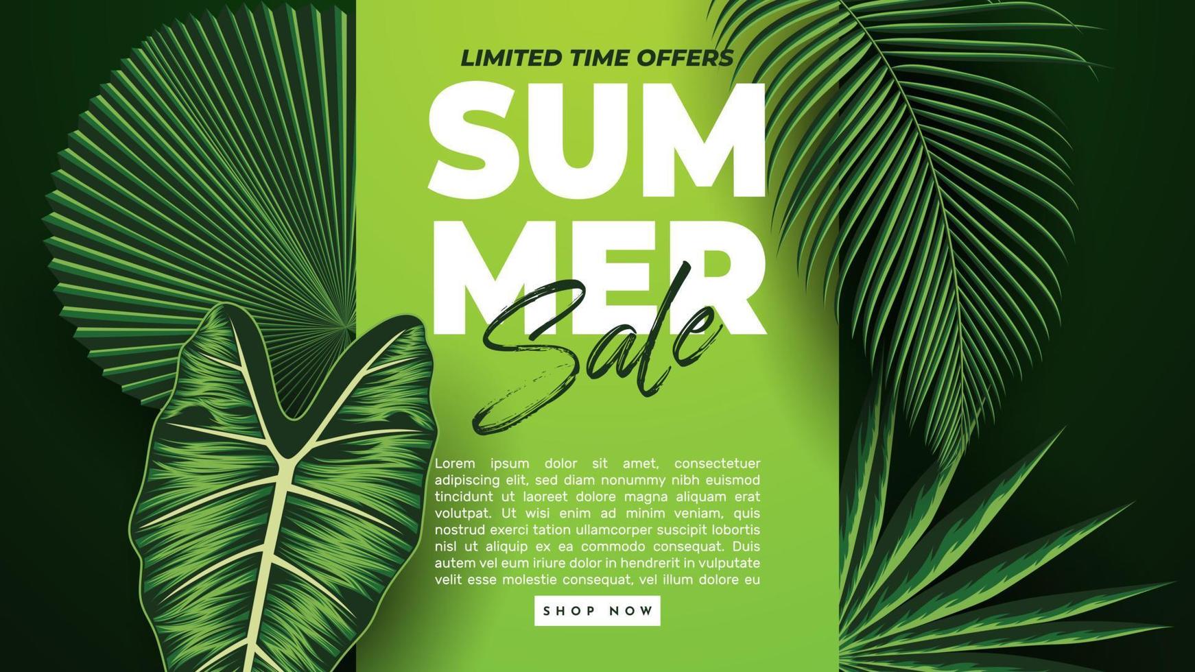 Summer Sale Banner With Tropical Leaves Background. Vector Illustration