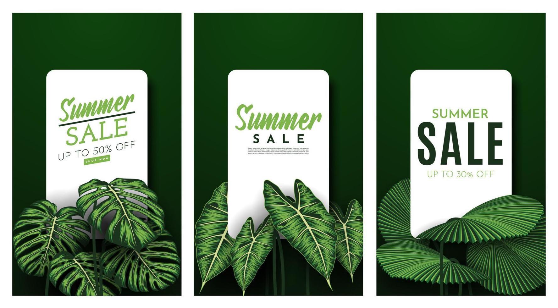 Summer Sale Banner With Tropical Leaves Background. Vector Illustration