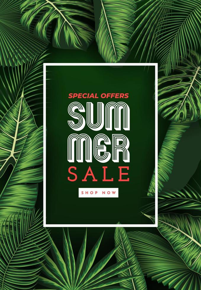 Summer Sale Banner With Tropical Leaves Background. Vector Illustration