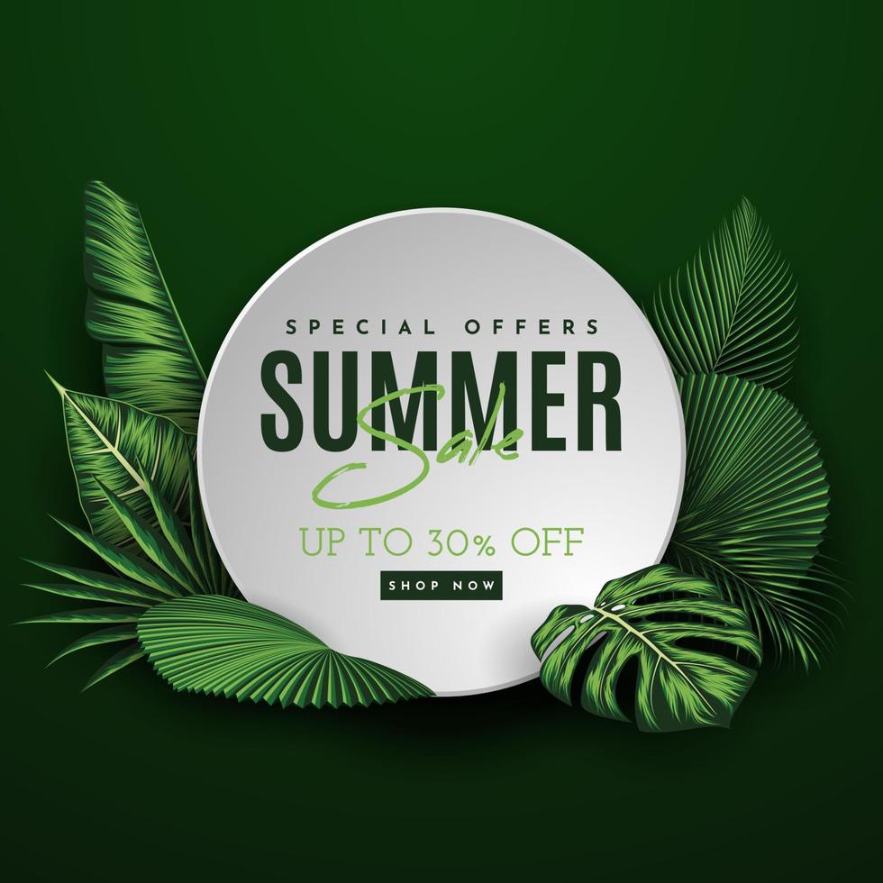 Summer Sale Banner With Tropical Leaves Background. Vector Illustration