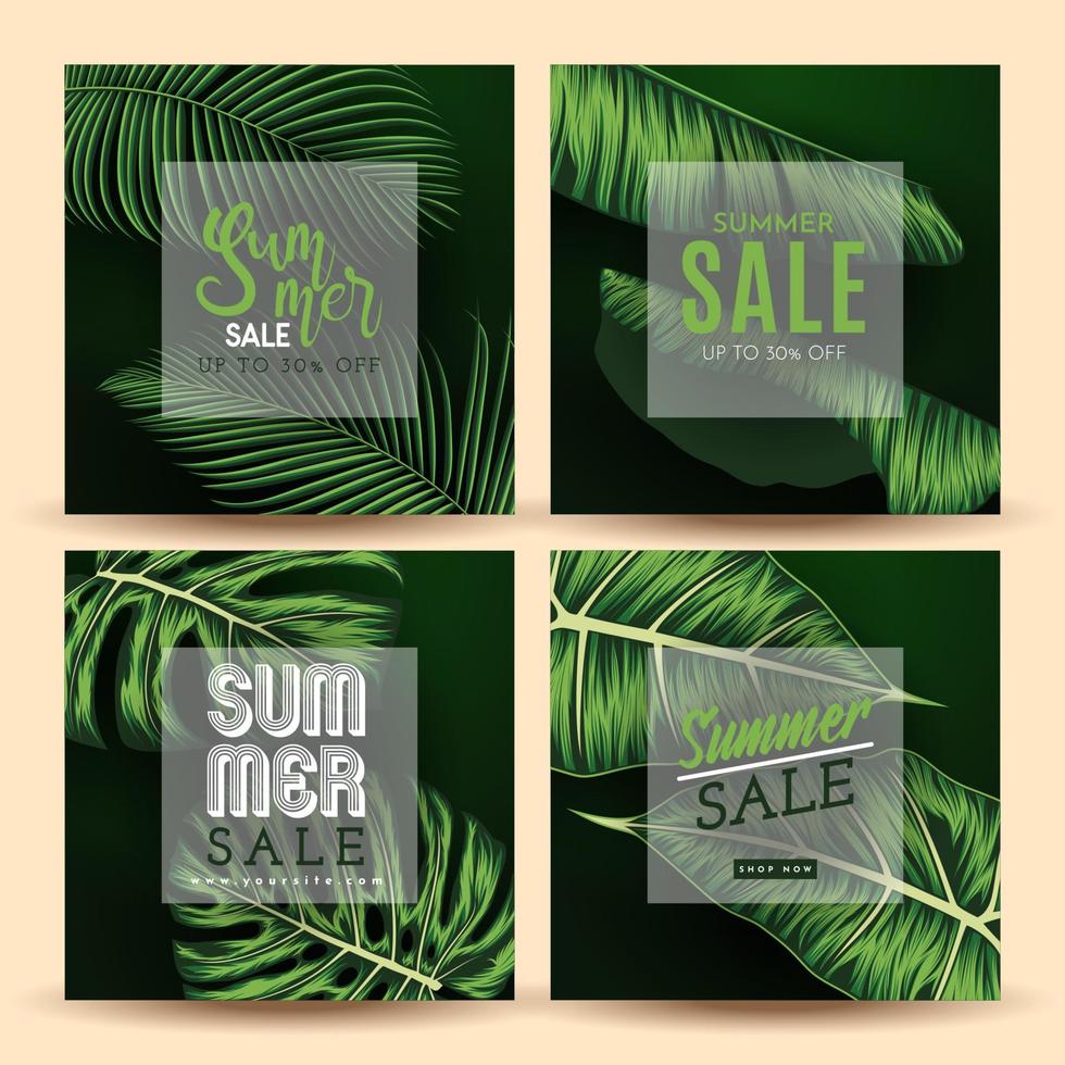 banner de venta de verano con fondo de hojas tropicales. ilustración vectorial vector